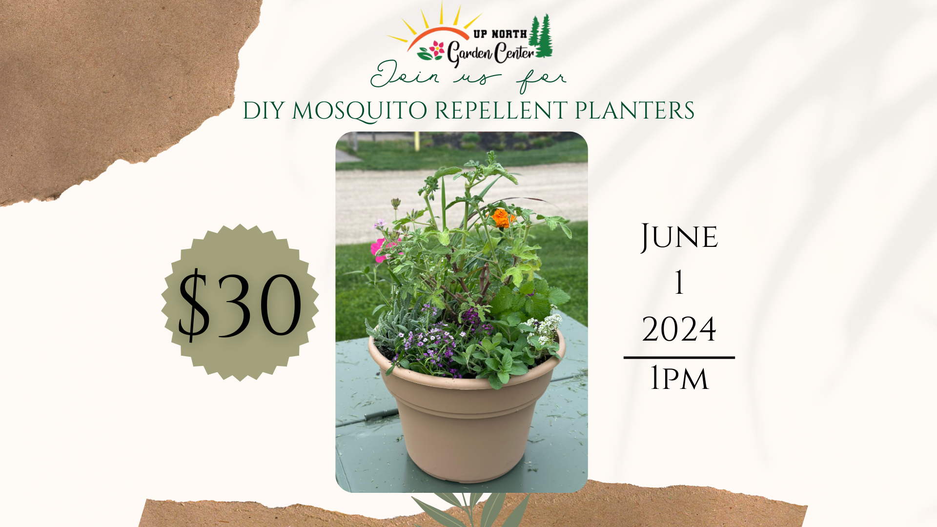 DIY Mosquito Repellent Planter Up North Garden Center